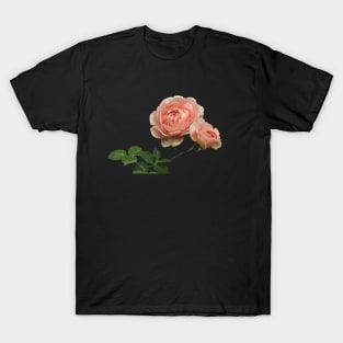 Pink Roses T-Shirt